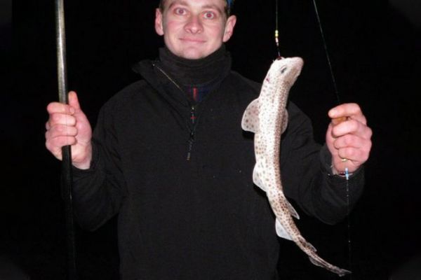 Kleiner Flughund, der beim Surfcasting gefangen wurde