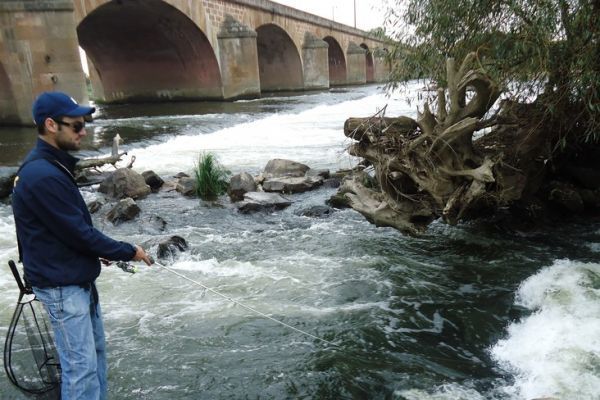 Angeln an der Loire in Nevers