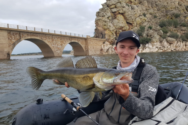 Fische unter den Brücken oder in deren Nähe