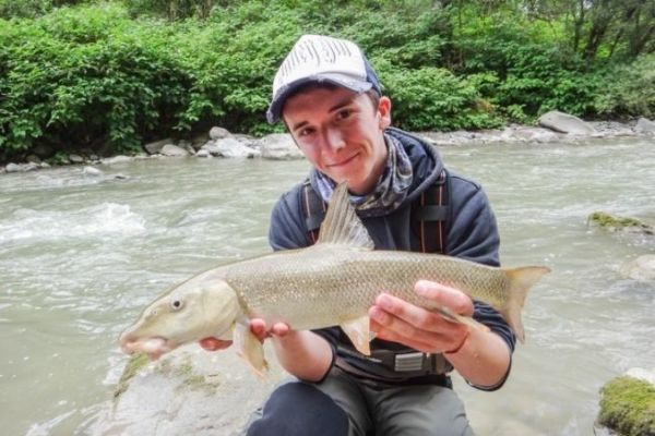 Ksefischen von der Barbe