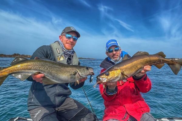 Das Angeln auf Pollack ist in Sektoren mit geringer Tiefe möglich. Dies ermöglicht es Ihnen, No Kill zu praktizieren und den Fisch zu fangen