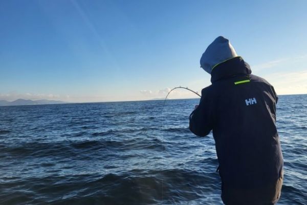 Die Ausr�stung zum Angeln auf Papageientaucher