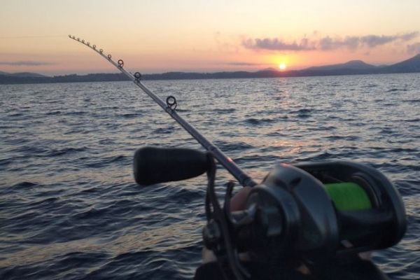 Tintenfische mit Schleppnetzen angeln