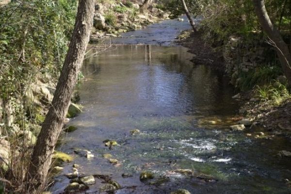 Angeln auf Forellen im Fluss