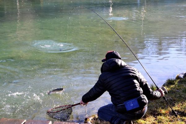 Angeln auf Salmoniden in Area