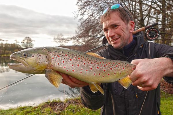 Sch�ne Bachforelle