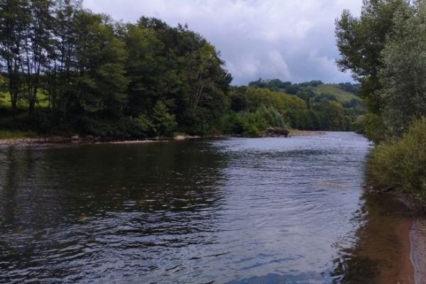 Zu Beginn der Saison mit dem Schwimmer auf Forellen angeln
