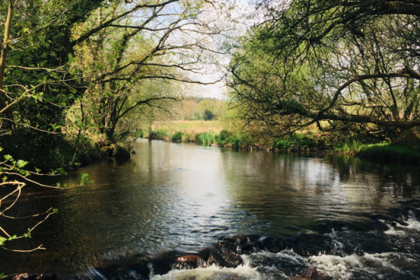 Der Aven ist ein wunderschner kleiner Fluss in der Sdbretagne, den Sie zwischen Ende April und der Schlieung entdecken knnen