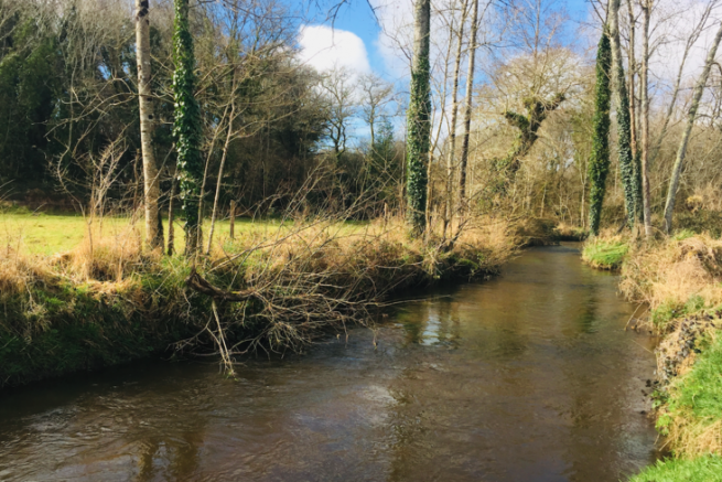 Die Erffnung des Angelns im Fluss ist immer ein groer Moment!