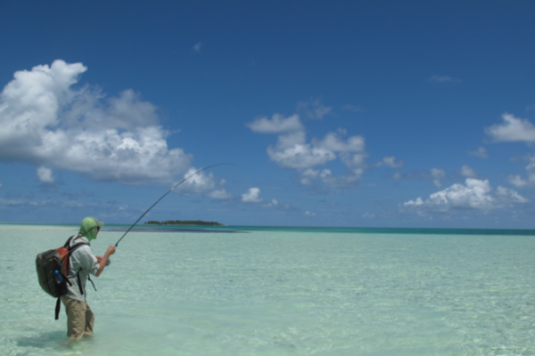 Fische sehen, die Fliege finden und animieren sind die Schlsselbegriffe beim Fischen auf Bonefish auf Sicht mit der Fliege