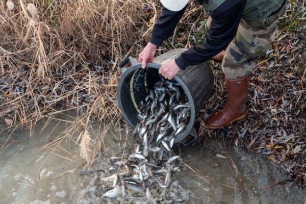 Wof�r wird das Geld f�r die Angelkarten verwendet?