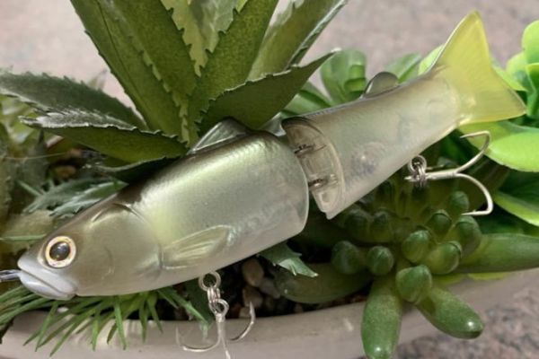 Der New Slide Swimmer 115 ist prächtig!