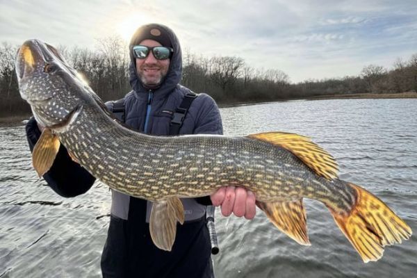 Angeln Sie w�hrend der Schonzeit auf Hecht, wie hier in Jurassik Pike.
