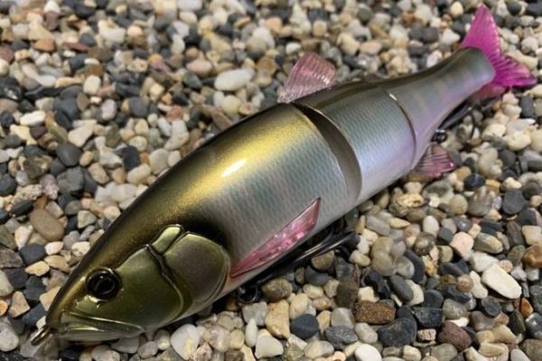 Die Größe 180 wurde sehnlichst erwartet!