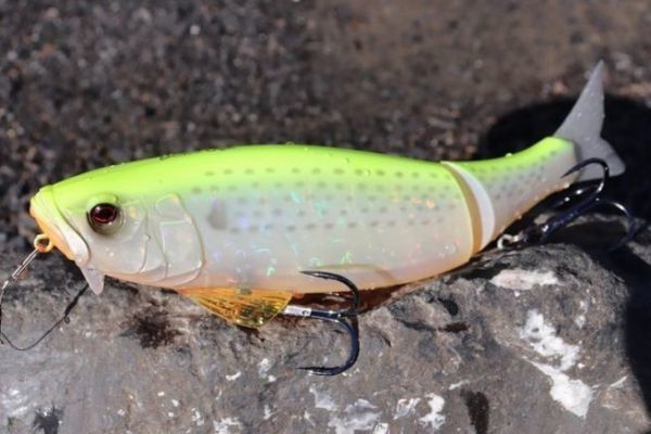 Dieser Kder ist ein Oberflchen-Stickbait!