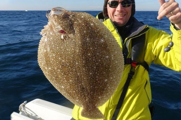 Die Glattbutt, ein dem Steinbutt ähnlicher Plattfisch, den es zu identifizieren gilt Ein Bartträger, der auf einem Ridens gefangen ist