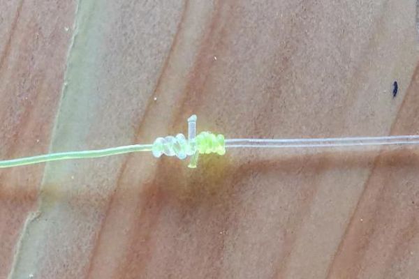 2 Nylons verbinden: Der Fassknoten fr Angelschnre mit hnlichem Durchmesser
