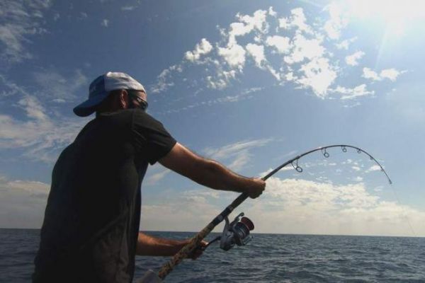 Fischen von Rotem Thun mit Kderfisch, No Kill unter guten Bedingungen gewhrleisten