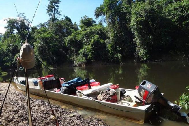 Guyana, eine Angelreise in die grne Hlle