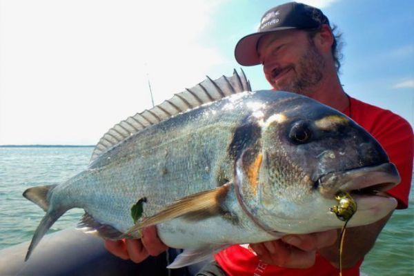 Wie man die richtige Tenya für den Fang von Goldbrassen auswählt Tenya-Fischen auf Seebrassen