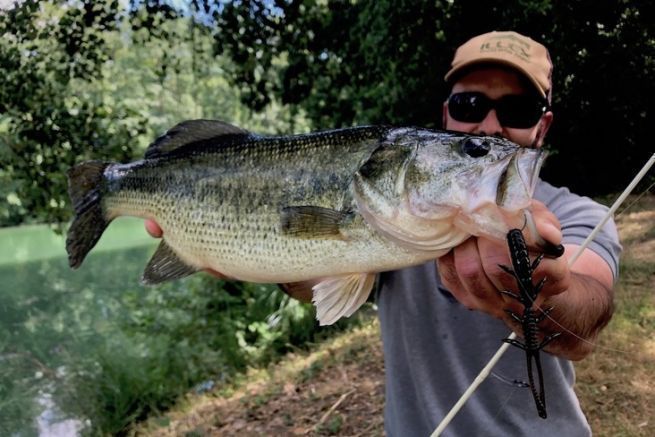 Sichtangeln auf Blackbass in