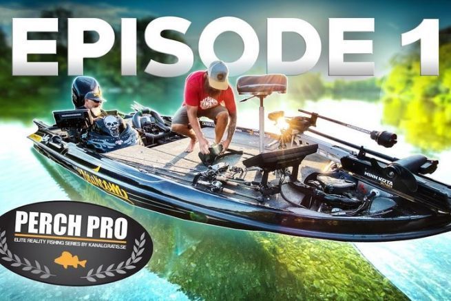 Perch Pro 7 Folge 1 : Ein Team sticht heraus, aber es bleibt noch viel zu tun!