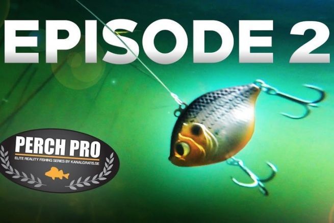 Perch Pro 7 Episode 2: Teams stürmen die Oberfläche!