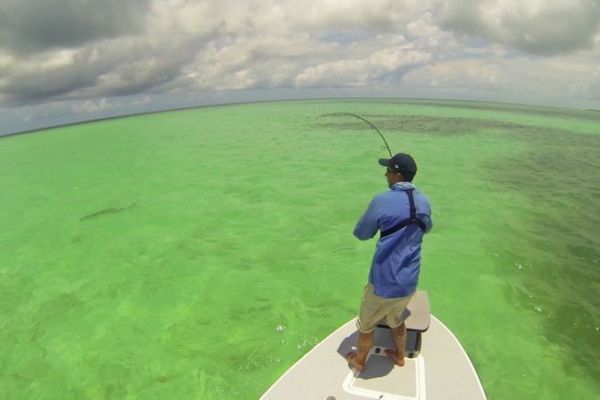 Die Flats von Florida - ein Traumziel zum Tarpon-Angeln!