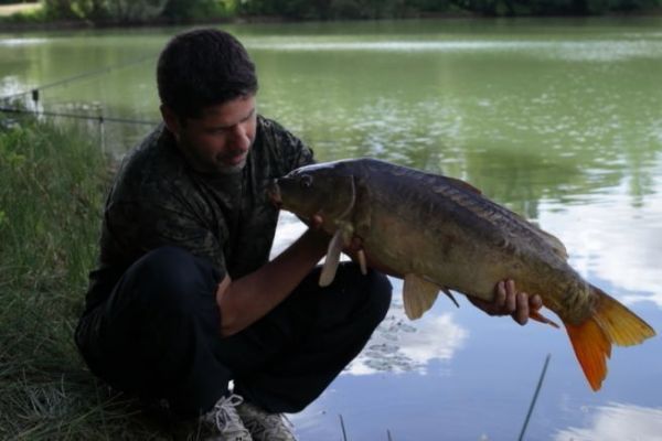 Ein hübscher Fisch, der beim schnellen Angeln mit zwei Ruten gefangen wurde