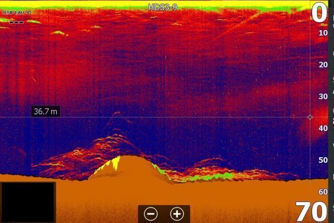 Analysiere einen Screenshot eines Echolots für den Seelachsfang auf Wracks Eine Schule von Pollacks vor einem Schiffswrack vor der Küste von Cotentin.