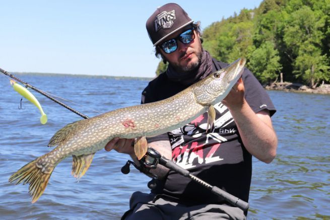 Hecht aus dem Lac Champlain, Québec.