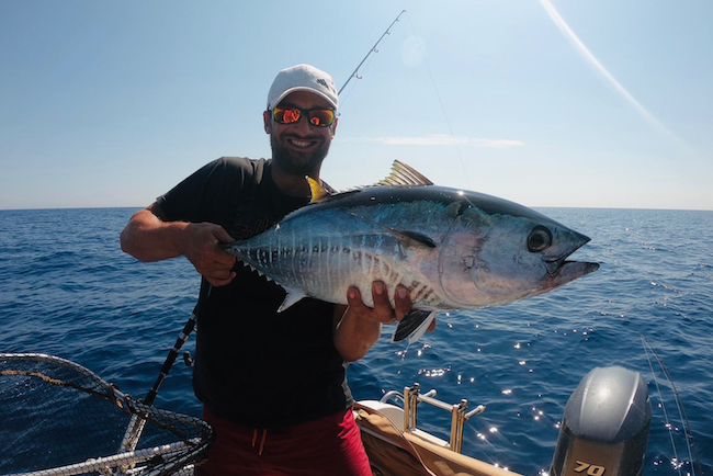 Blauflossen-Thunfisch auf der Jagd im Mittelmeer - eine Fischerei mit Suchtfaktor!