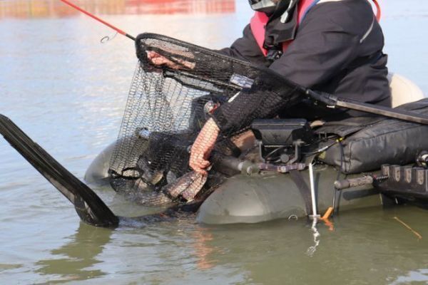4 gute Grnde fr einen Kescher zum Angeln mit dem Float Tube