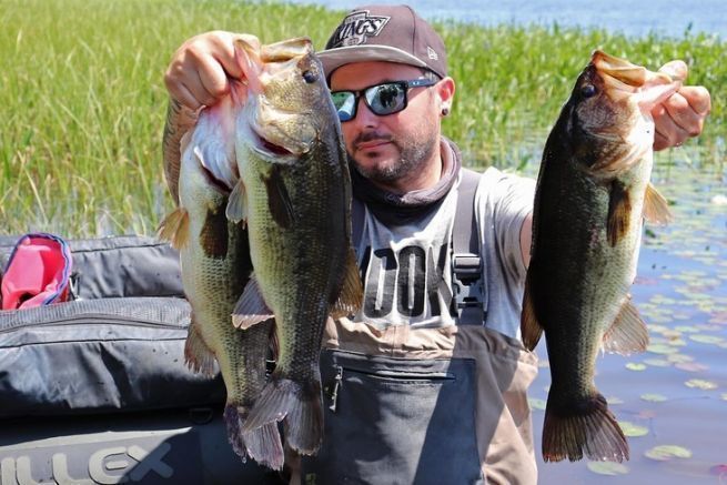 Gromuliger Qubec-Lachigan (Blackbass).