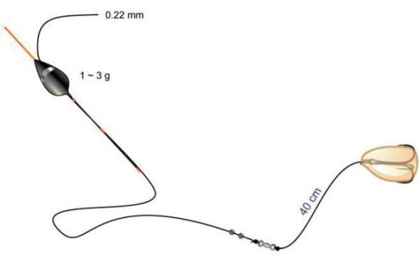 Universelle Montage zum Spinnfischen