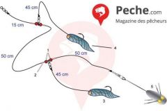 Montage fr Rochen beim Surfcasting
