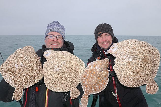 Steinbutt mit Ködern angeln, den Fisch mit attraktiven Düften heranlocken Drei Steinbutte und eine Scholle