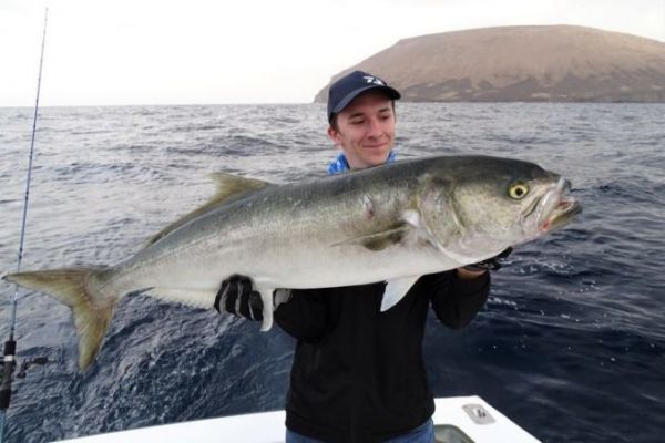 Tassergal, ein mediterraner Fisch fr aufregende Angeltouren