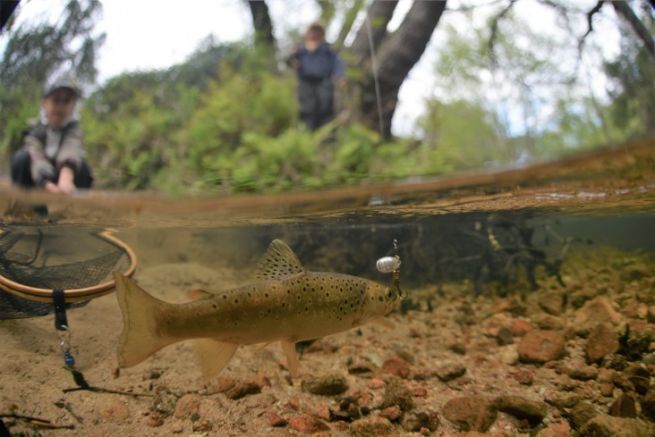 Foto halb Luft halb Wasser, die Parameter, die Sie fr erfolgreiche Angelfotos verwalten mssen