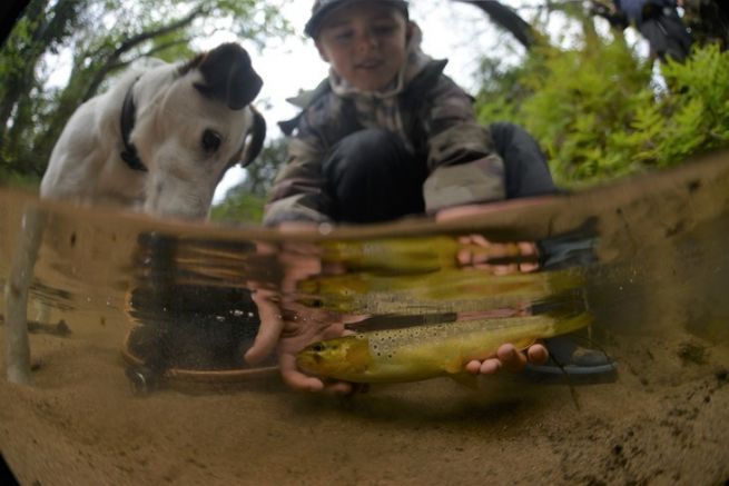 Halb-Luft-halb-Wasser-Fotos, Tipps und Tricks fr erfolgreiche Aufnahmen