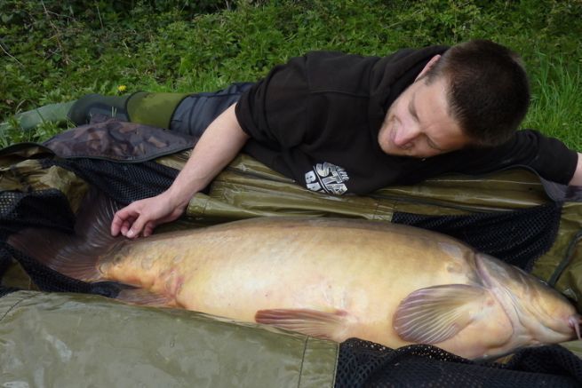 Der Umgang mit dem Fisch