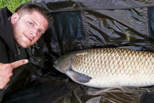 Weiße Liebe - für Karpfenangler eine Exotik in Rutenreichweite