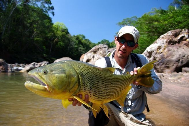 Sdamerikas explosive Fliegenfischerei auf den Dorado