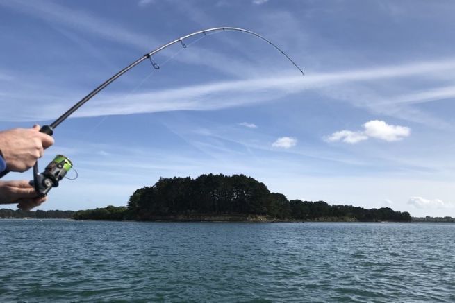 Ringe je nach Verwendung und Bedarf ausw�hlen