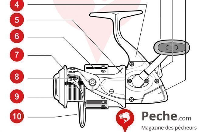 Was ist eine Spinning-Rolle und was sind ihre Vorteile? Anatomie der Spinning-Rolle