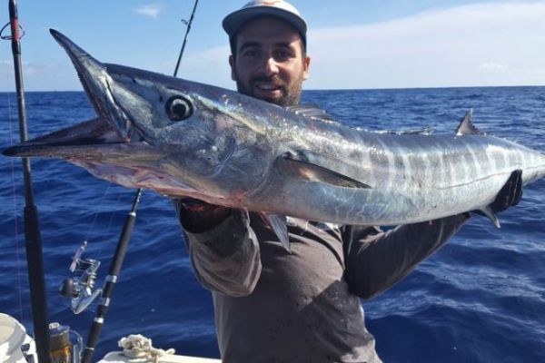 Auf Entdeckungstour mit dem Wahoo, einem Raubtier, das seinem Namen alle Ehre macht