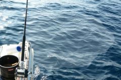 Verschiedene Köderrezepte für das Angeln mit dem Boot auf dem Meer