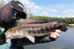 Mataguaro, Rio Mataven, Kolumbien.