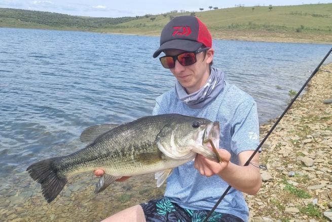 Die Wahl des richtigen Köders für das Angeln auf Blackbass mit unbebleitem Wacky auf Sicht Das Angeln auf Blackbass mit Wacky auf Sicht