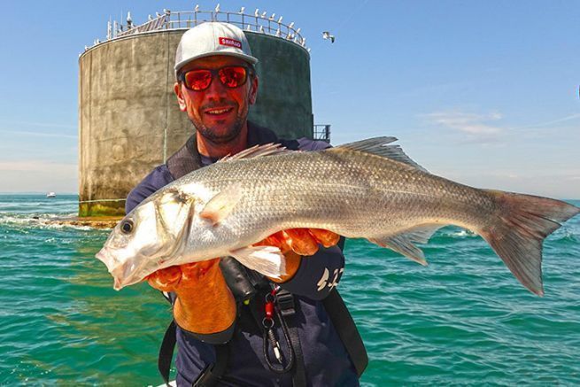 Sea Angling Classic: Sichtung der Gegend, Seebarsch und der erste Hai-h